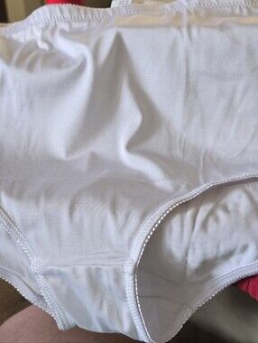 3 Pairs for $20 Plus Sz Light Tummy Control Intimates